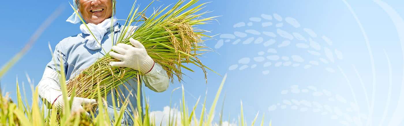 Detection of Neonicotinoid Pesticides in Japanese Green Tea and Bottled Tea Beverages: Implications for Health and Safety